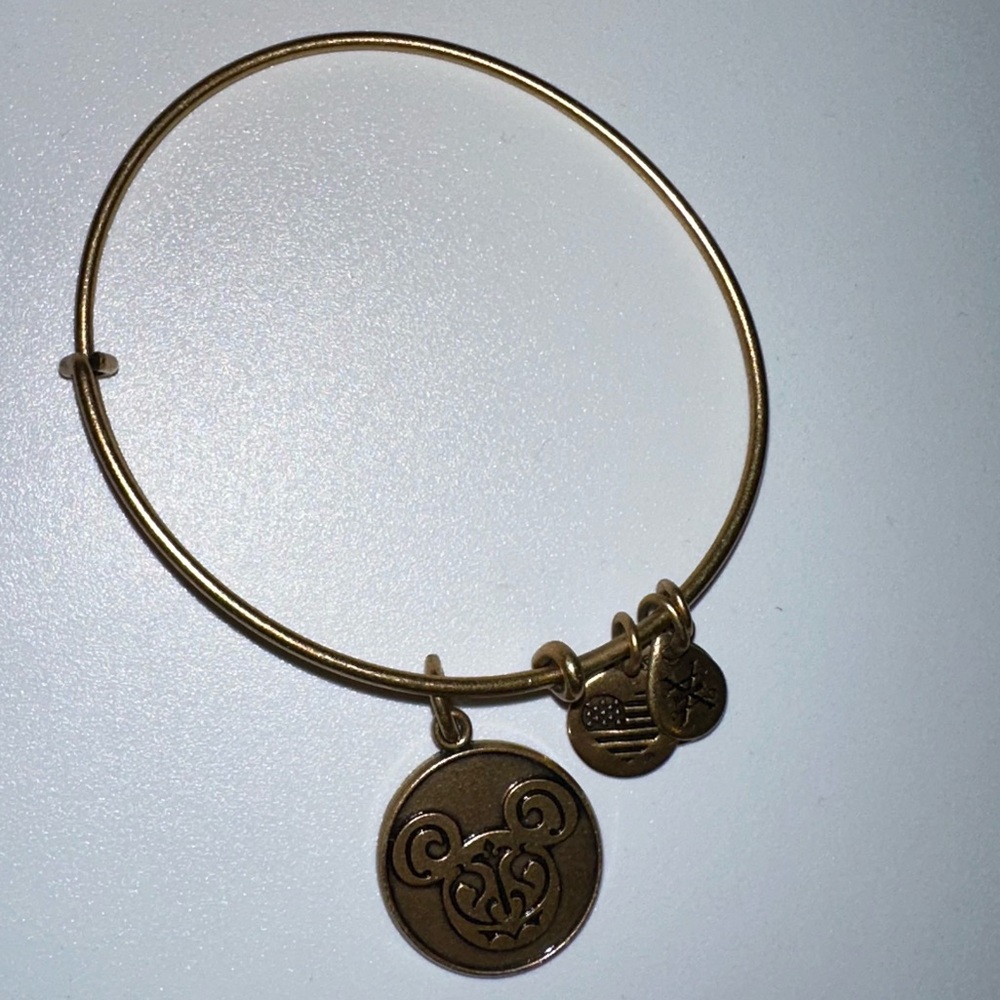 Mickey Mouse Alex and Ani